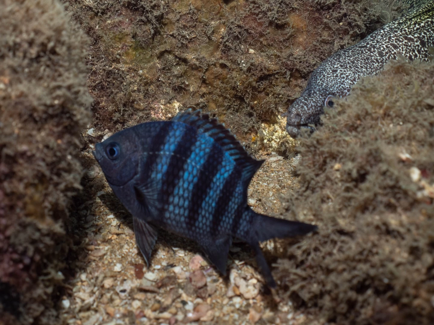 Tudoem Ilhabela