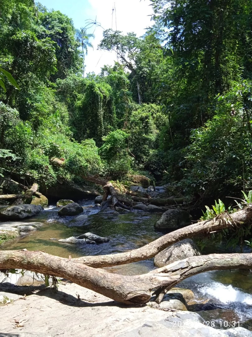 Tudoem Ilhabela