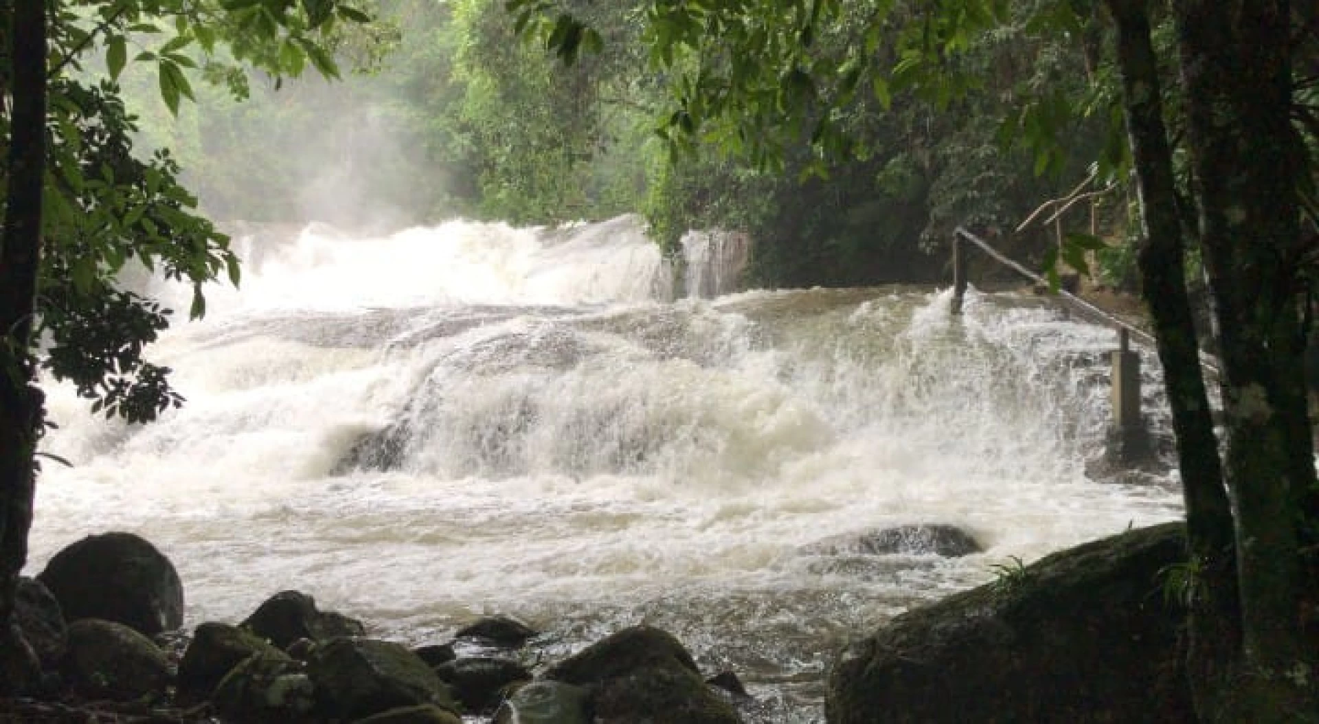 Tudoem Ilhabela