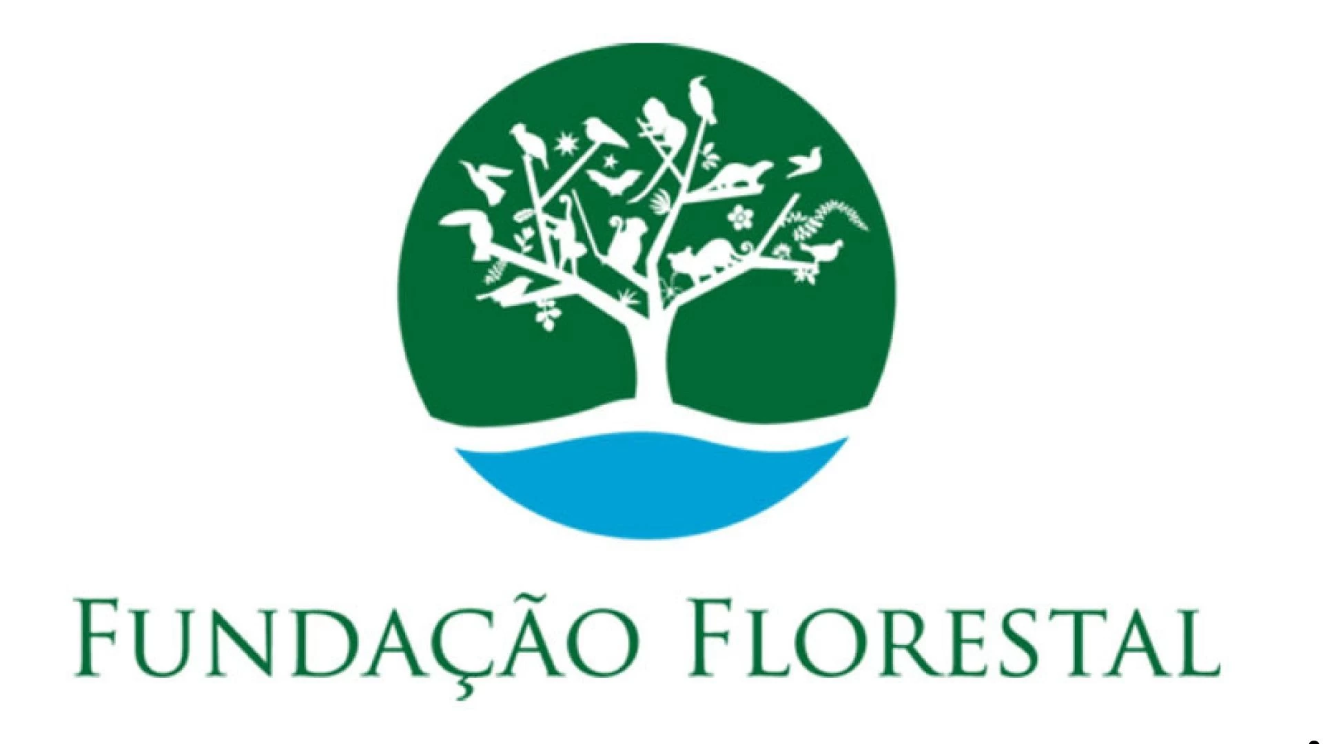 Tudoem Ilhabela