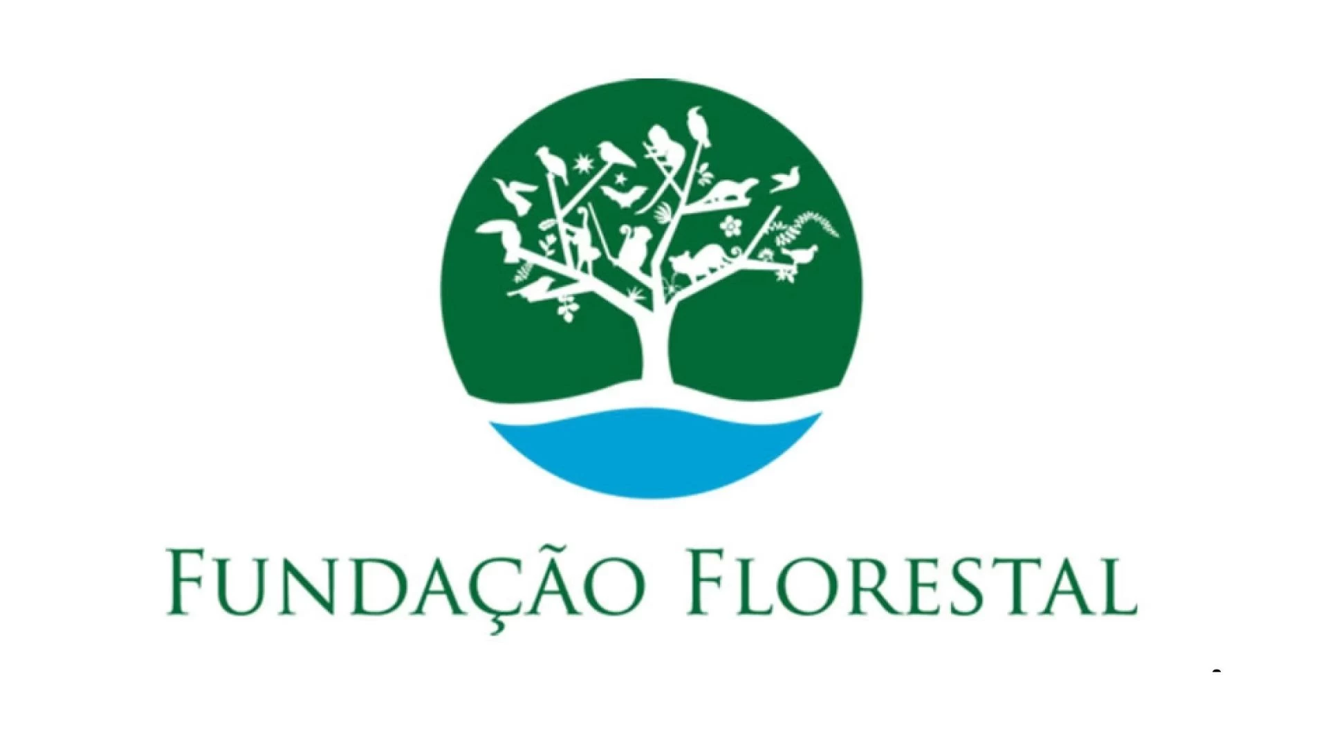 Tudoem Ilhabela