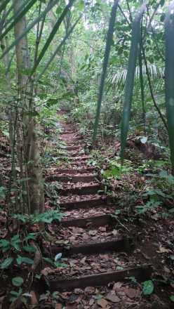 Trilha do Baepi_slide_5
