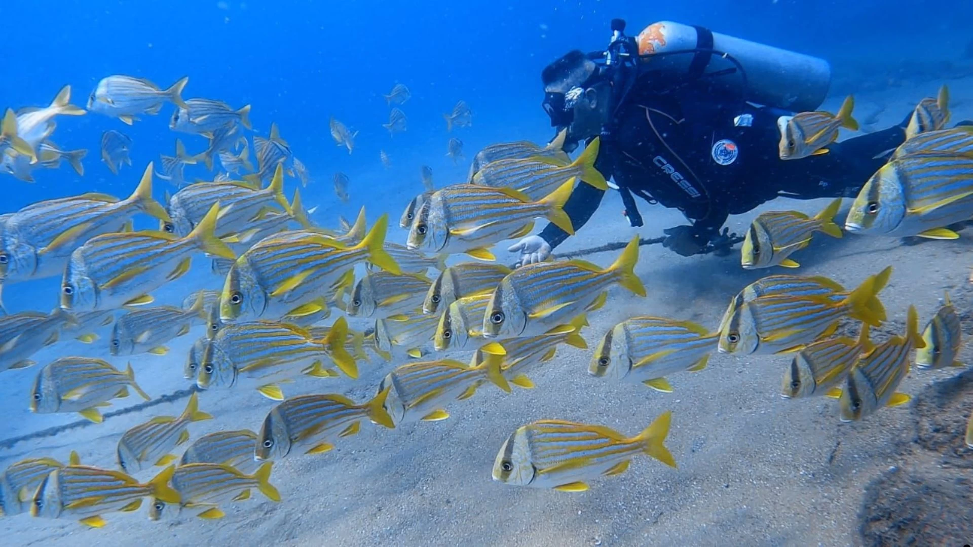 Tudoem Ilhabela