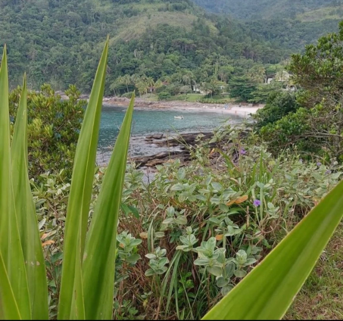 Passeio de Lancha 