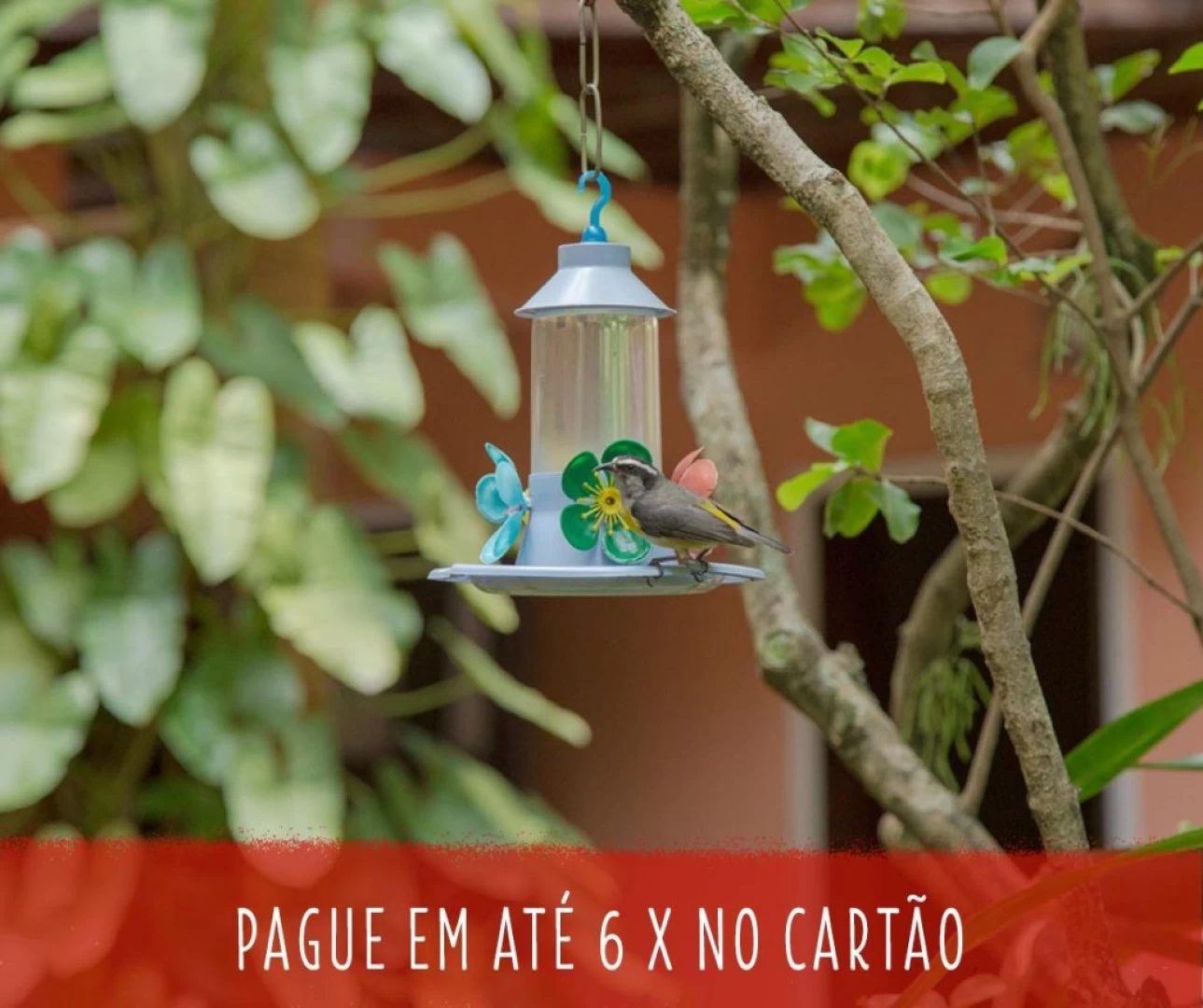 Promoção na Manga Rosa