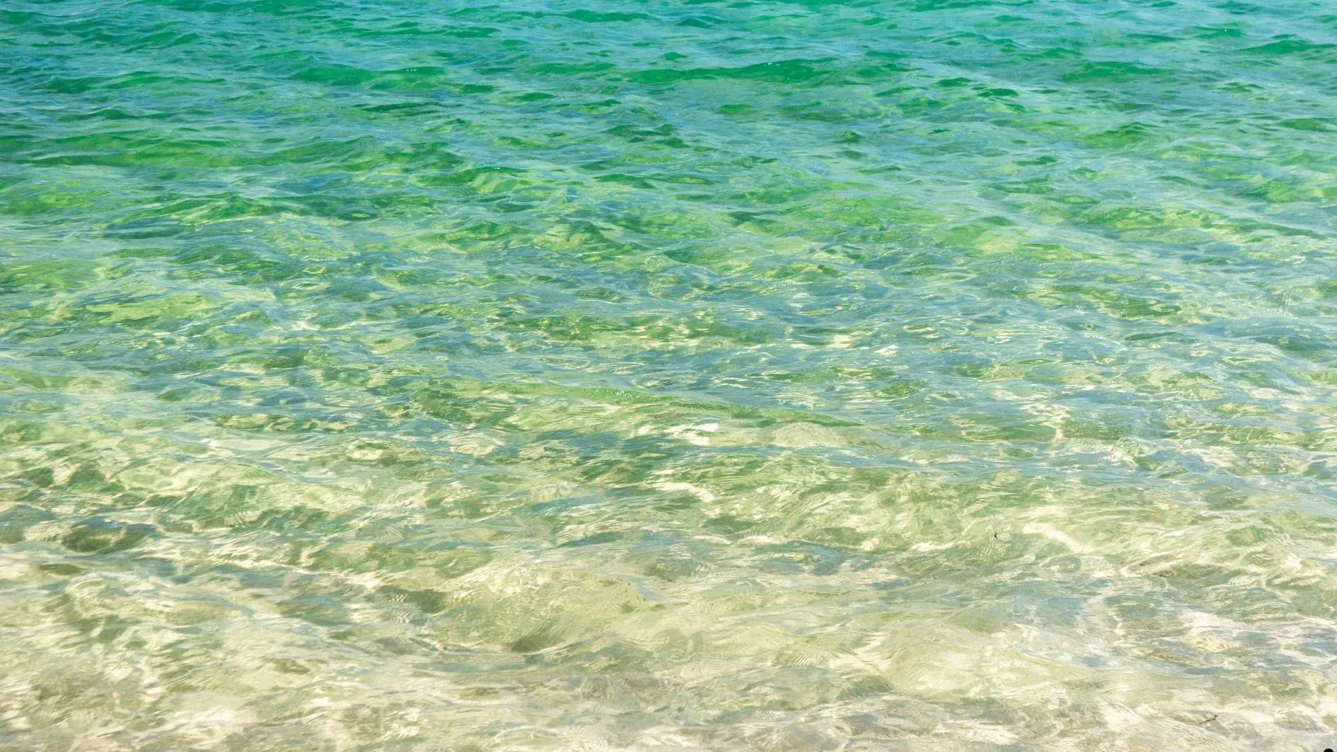 Tudoem Ilhabela