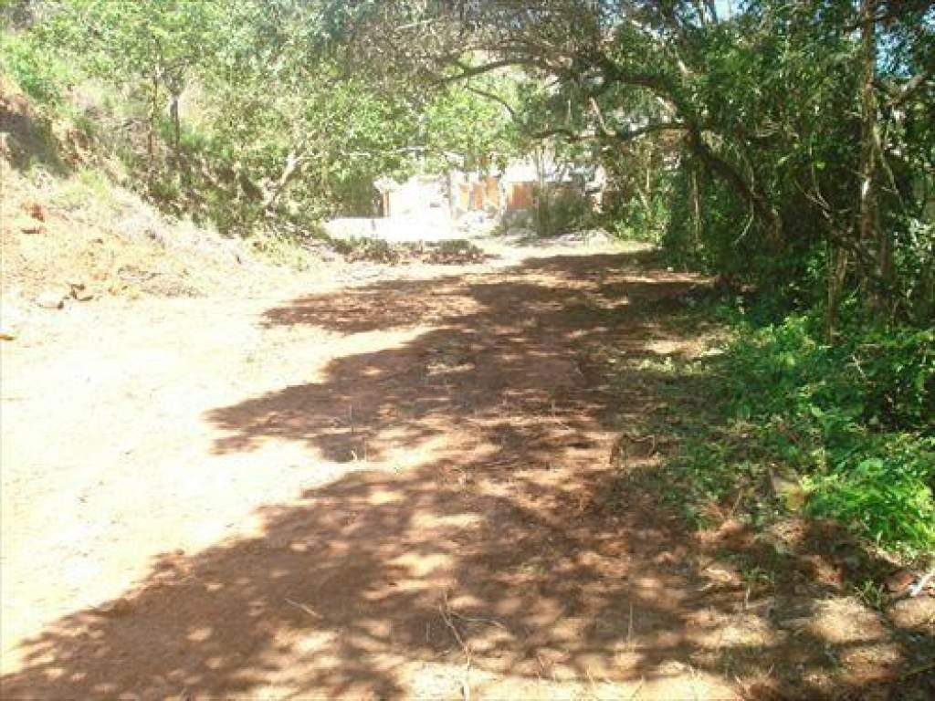 Terreno à venda Siriuba