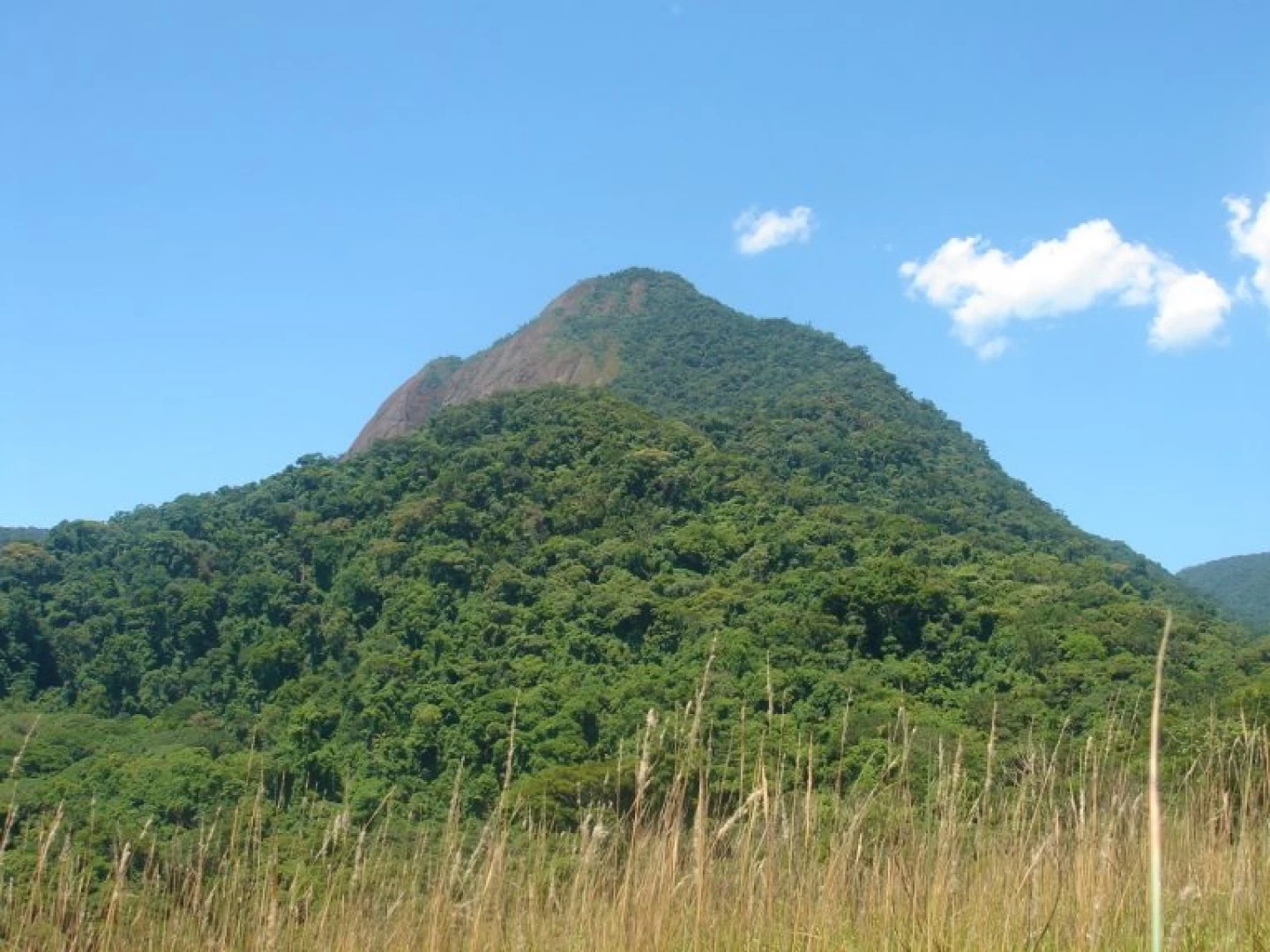 Tudoem Ilhabela