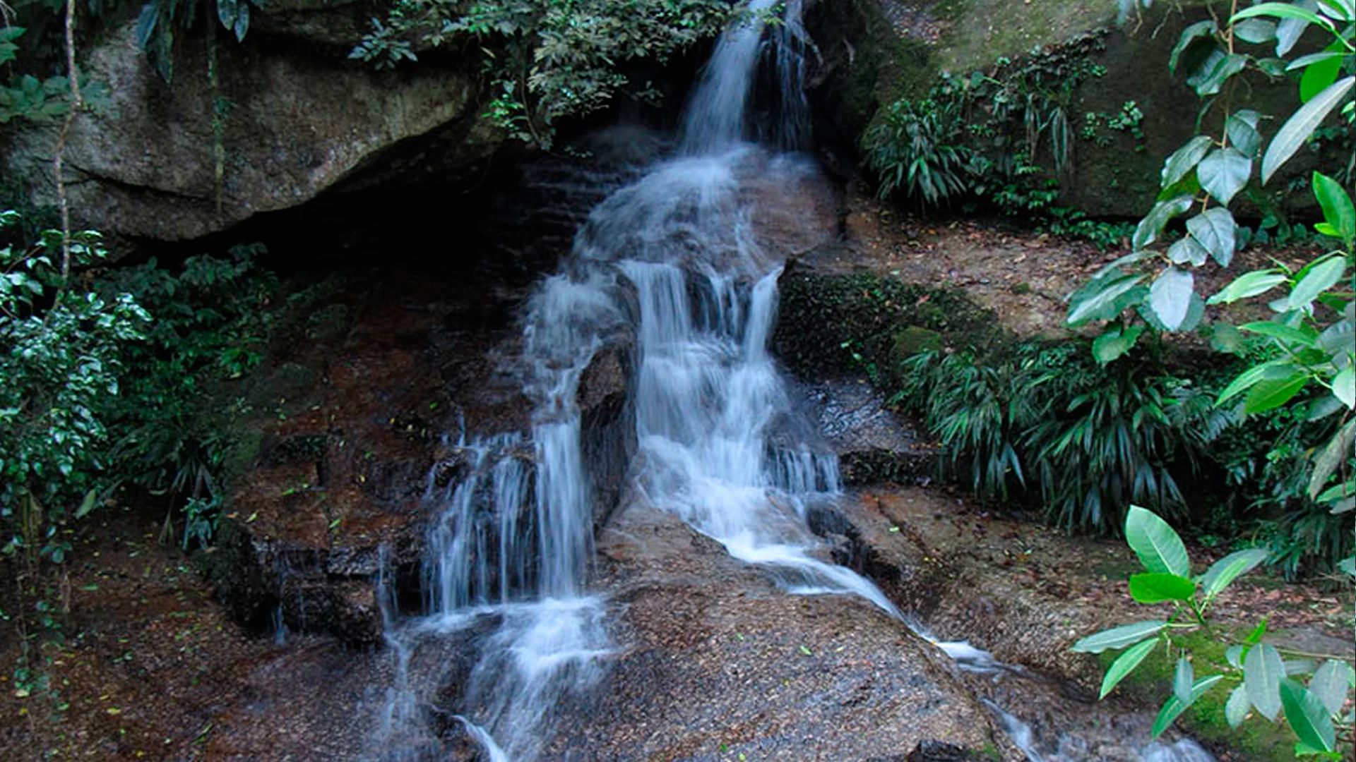 Tudoem Ilhabela