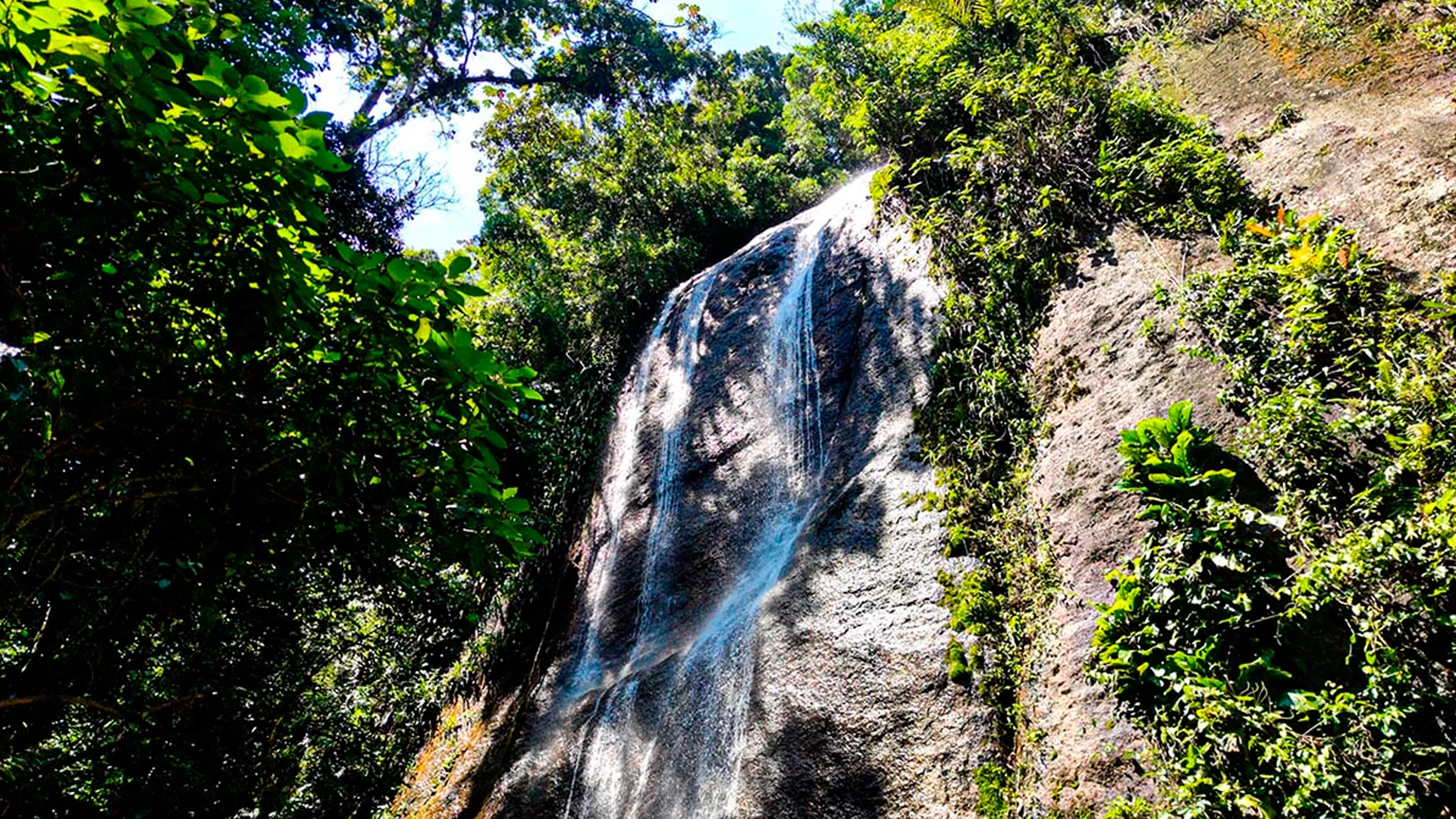 Tudoem Ilhabela