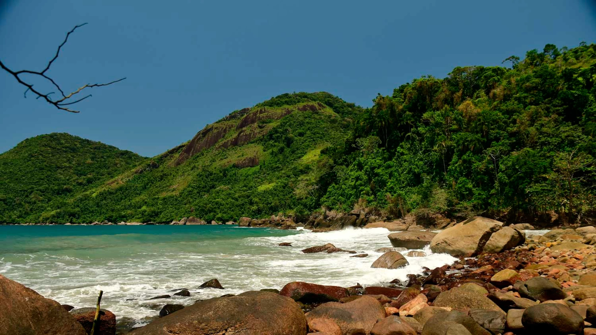 Tudoem Ilhabela