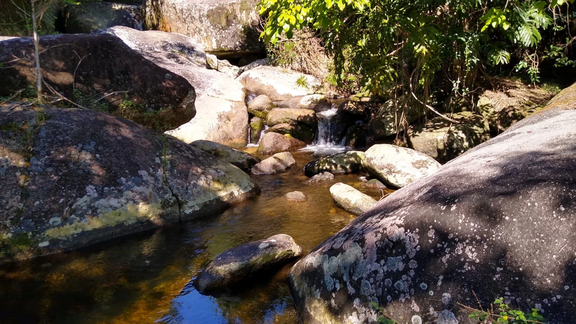Tudoem Ilhabela