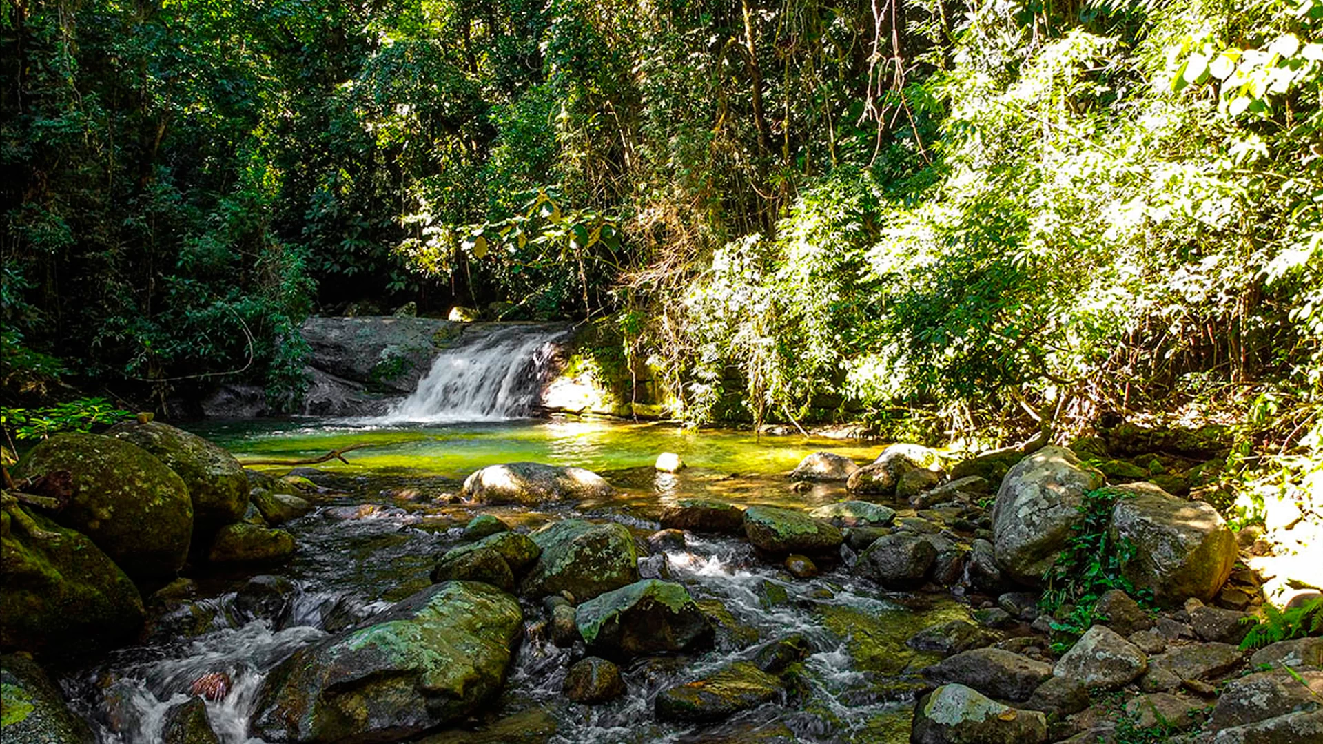 Tudoem Ilhabela