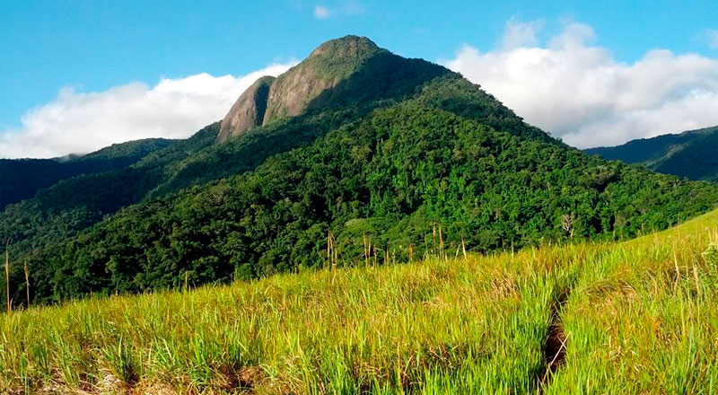 Tudoem Ilhabela