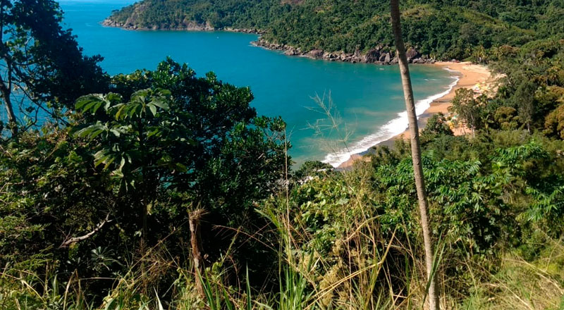 Tudoem Ilhabela