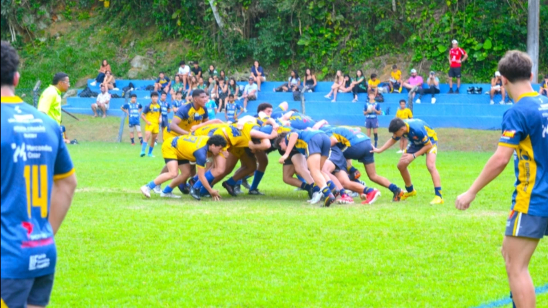 Campeonato Paulista Juvenil de Rugby XV 