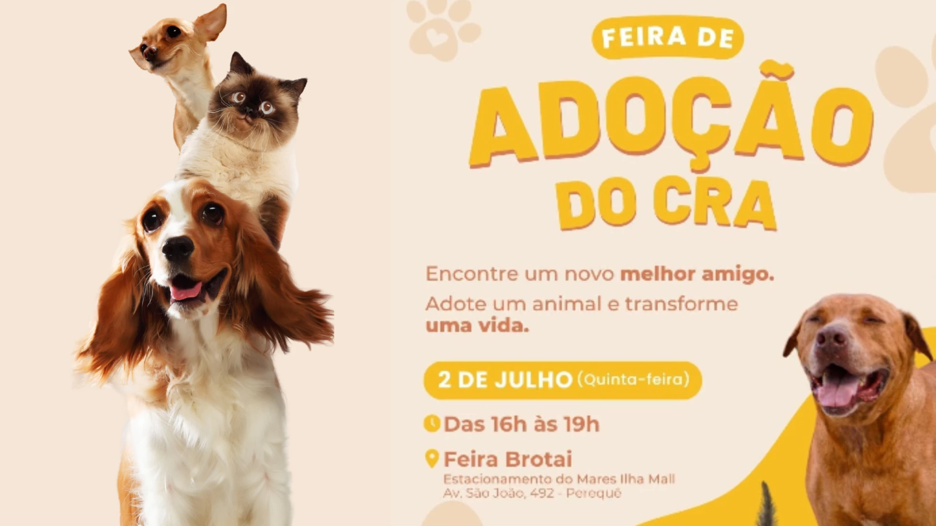 Feira de Adoção do CRA