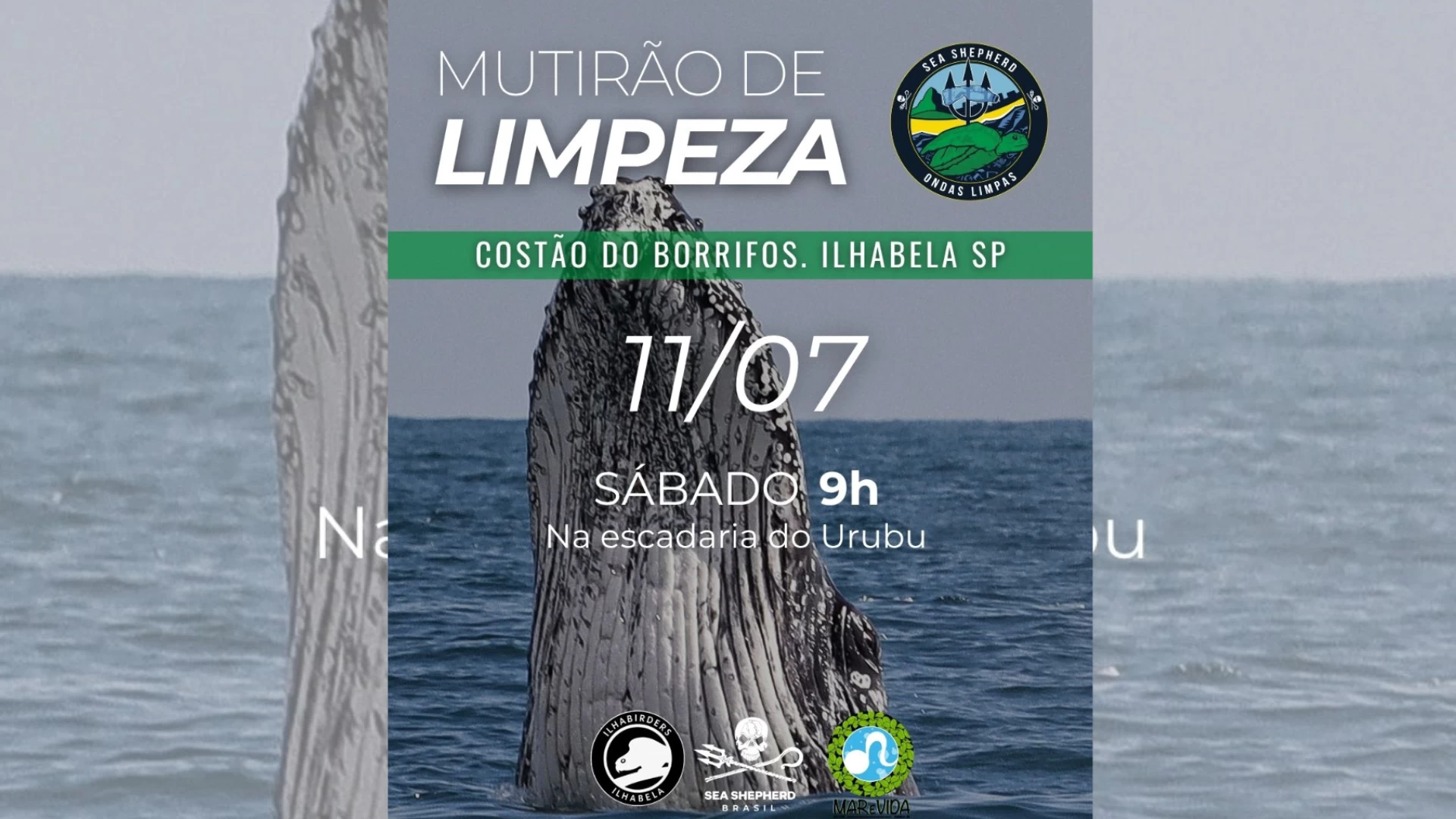 Mutirão de Limpeza